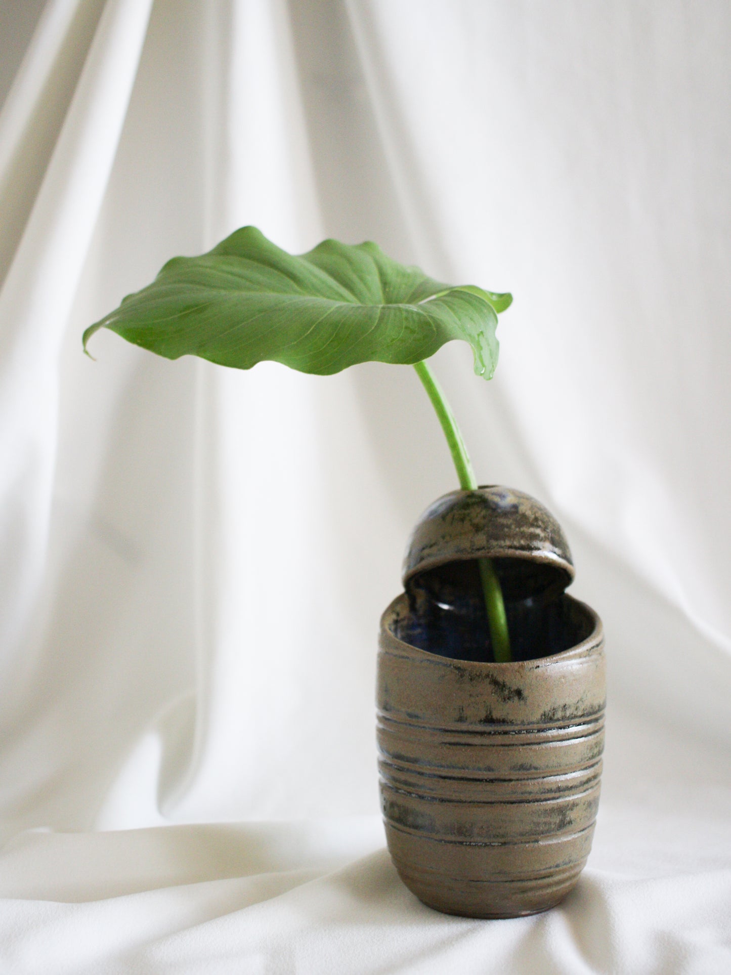 Vase #20