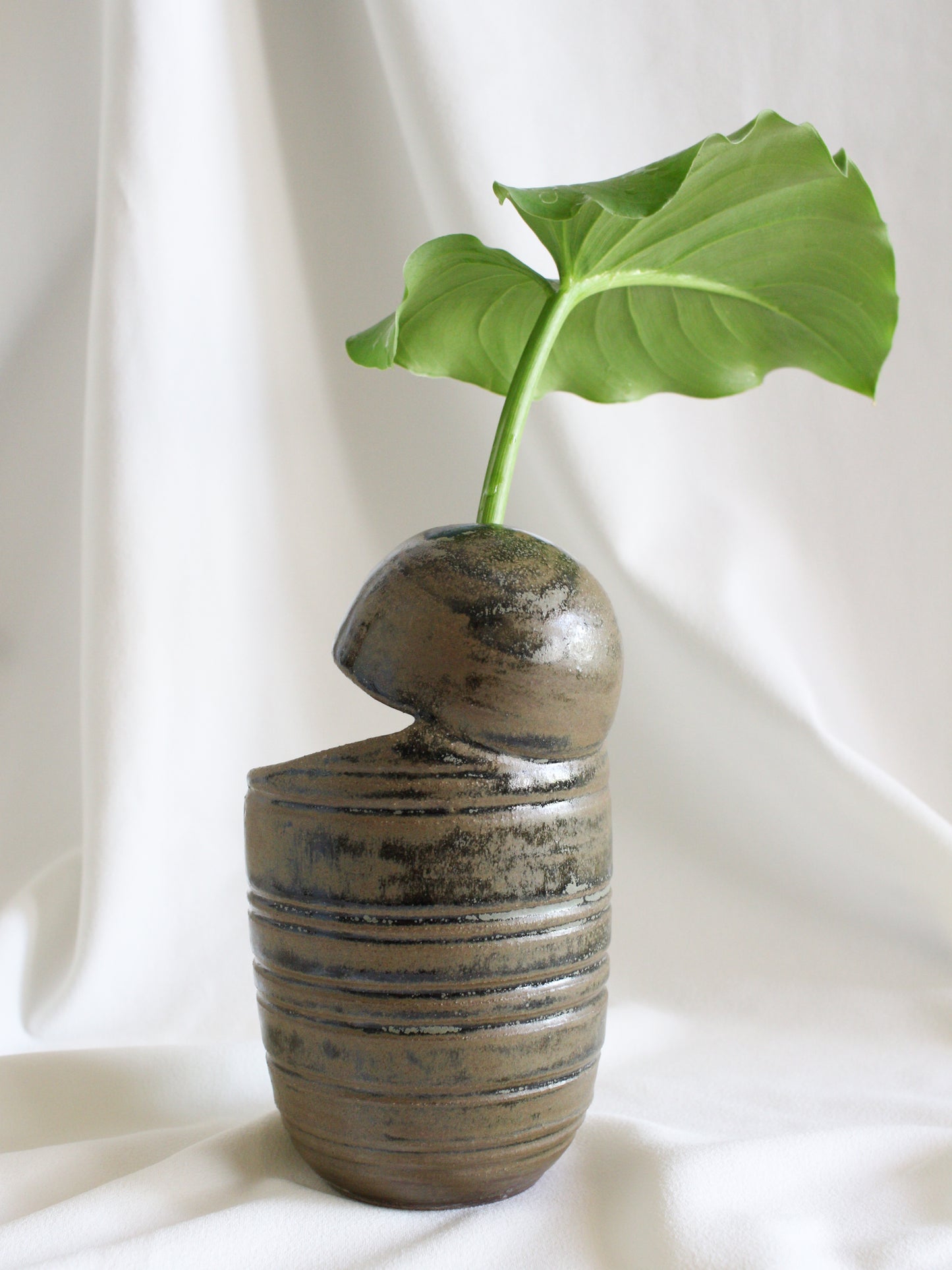 Vase #20