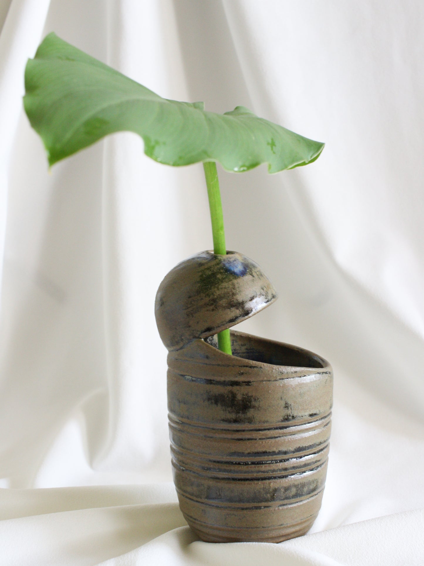 Vase #20