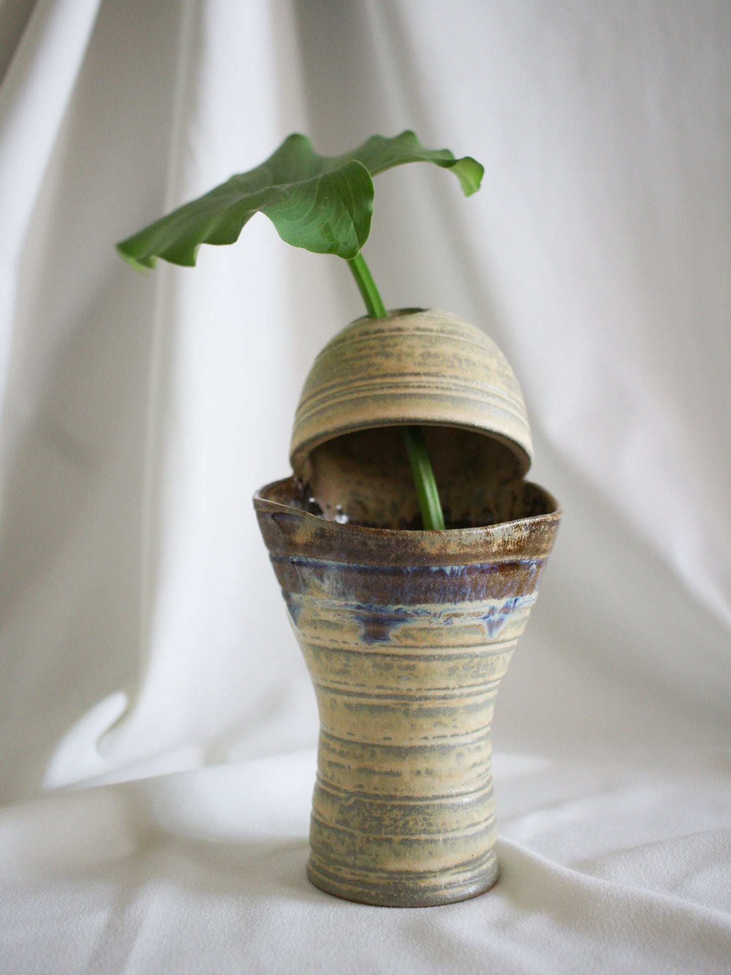 Vase #21