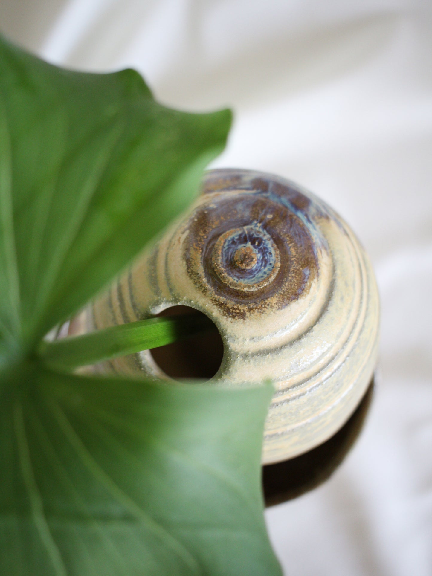 Vase #21