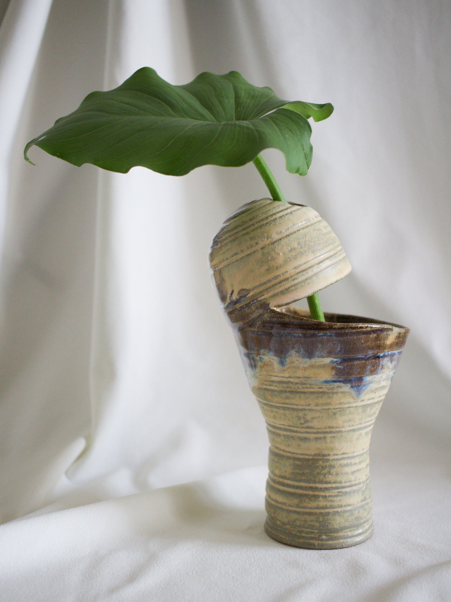 Vase #21