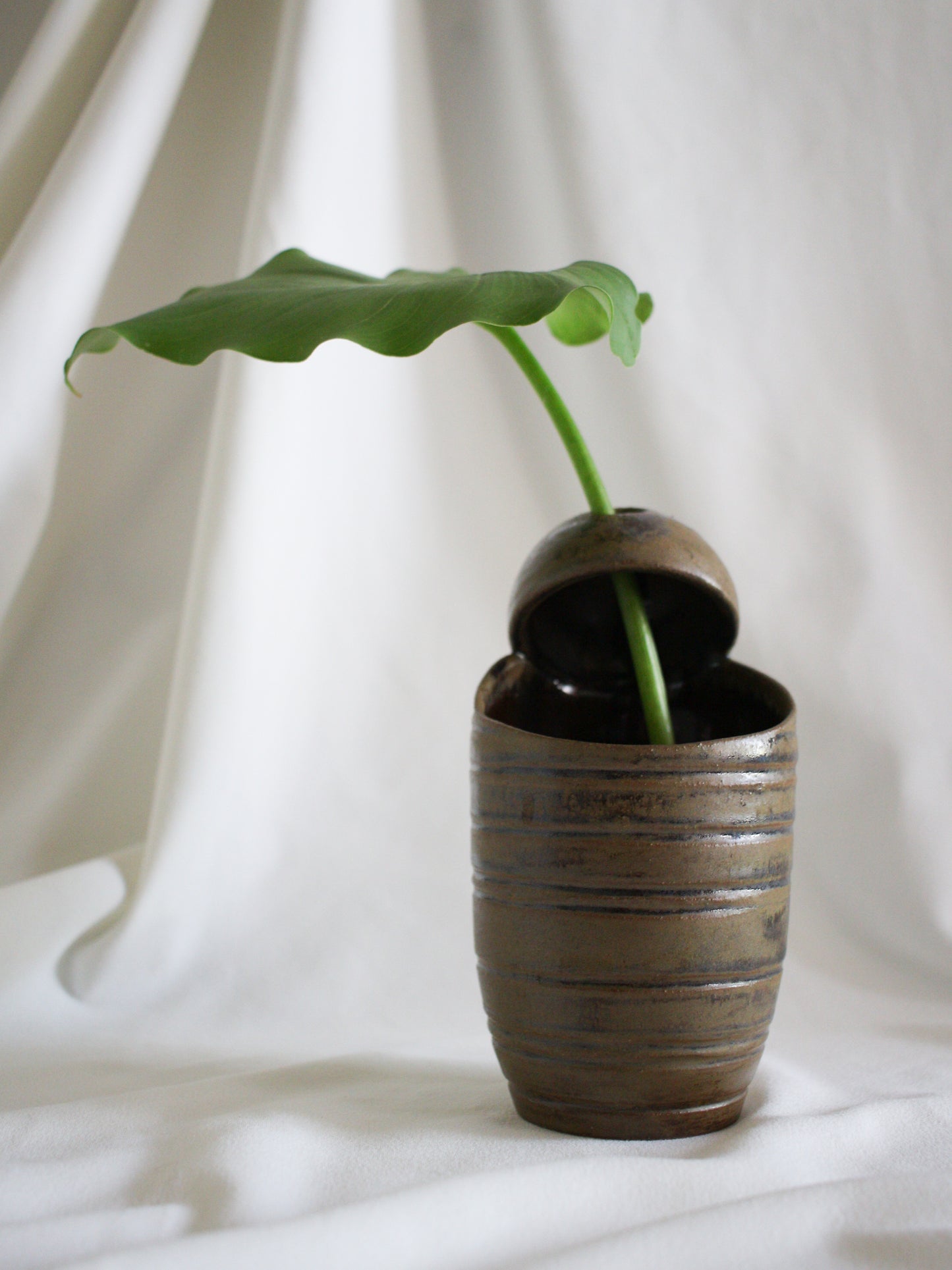 Vase #23
