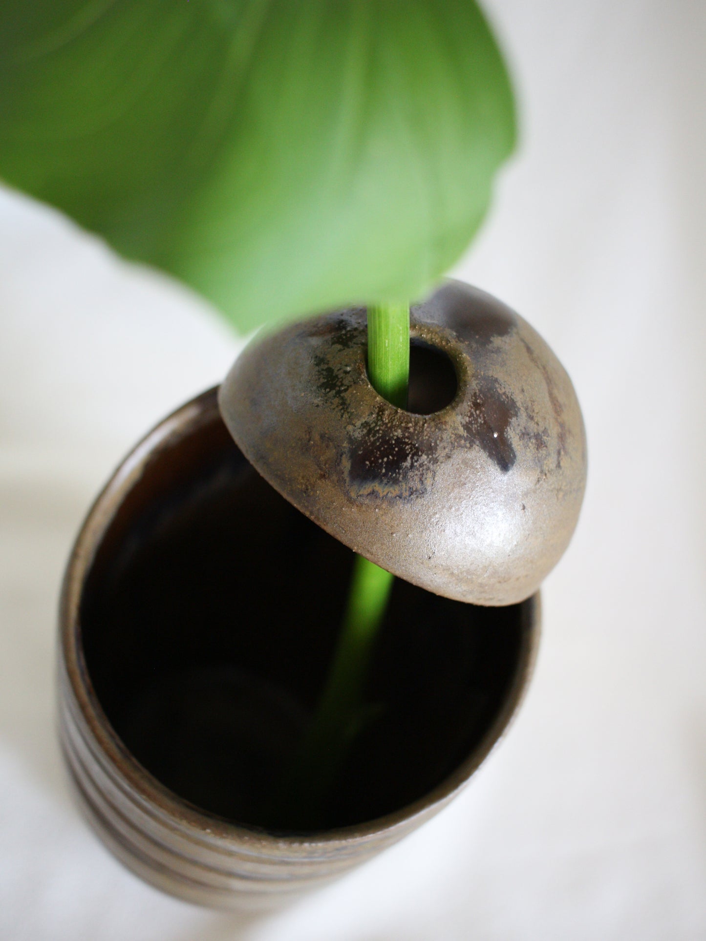 Vase #23