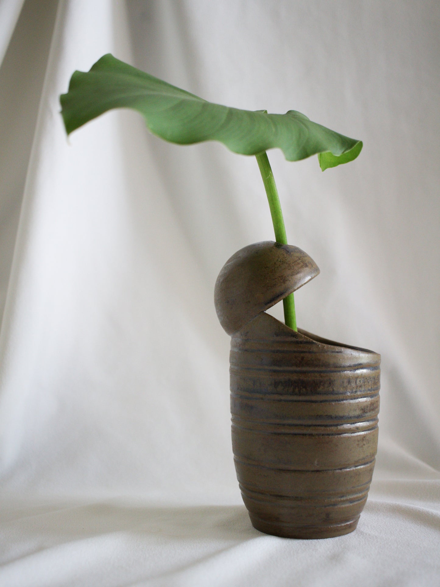 Vase #23